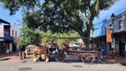 City Market