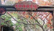 大坑休閒農場