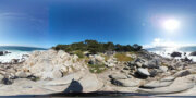 Pescadero Point