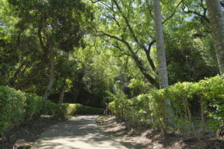 五つの樽の山歩道