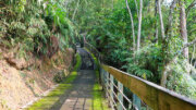內湖山步道