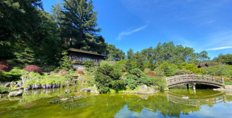 Hakone Estate and Gardens