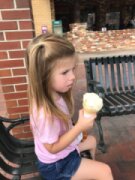 Trowbridge&#039;s Ice Cream Bar
