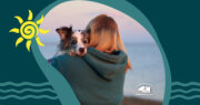 Ocotillo Animal Clinic &amp; Pet Resort
