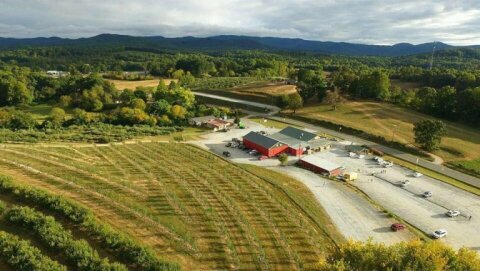 B.J. Reece Orchards