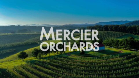 Mercier Orchards