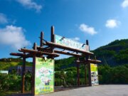 青灣仙人掌公園（暫停營業）