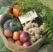 Longmeir Family Farm