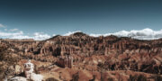 Bryce Canyon Pines