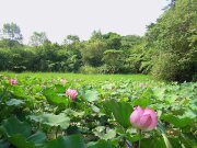阿里磅生態農場民宿