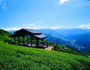 二尖山
