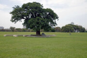 華中河濱公園