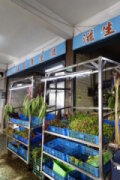 滋生青草店