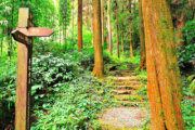 奮瑞古道
