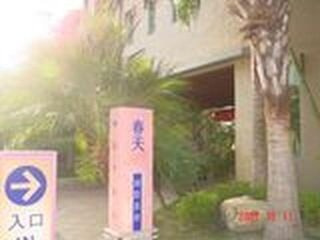 外觀