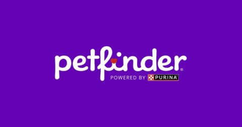 Crossing Paths Animal Rescue