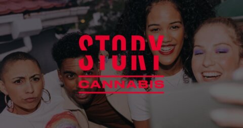 Oasis Cannabis Medical &amp; Recreational Marijuana Dispensary South Chandler