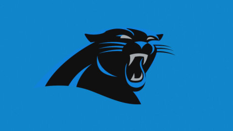 Bank of America Stadium