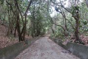 豎井步道
