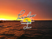 Paradise Bar &amp; Grill