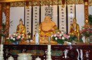 Happy Buddha