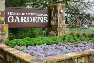 Kaul Wildflower Garden