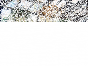 The Dan'l Webster Inn Restaurant