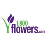 Everyday Flowers by Ronny