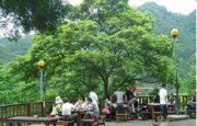 桂竹園餐廳
