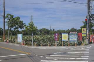 觀音南環自行車道