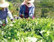 恆春三寶