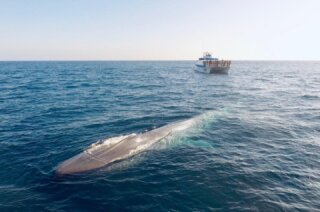 Dana Wharf Sportfishing &amp; Whale Watching