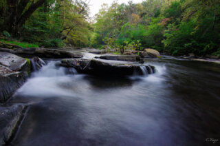 Turkey Creek