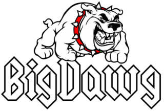 BigDawg Custom Carts &amp; Trailers