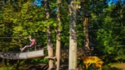 The Adventure Park at Virginia Aquarium