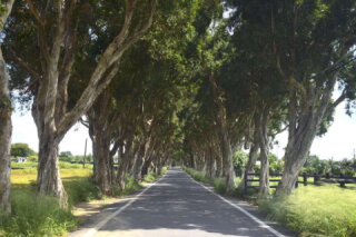 觀音北環自行車道