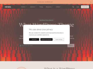 Kinsta WordPress Theme Detector