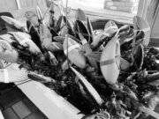Waterfront Seafood Market