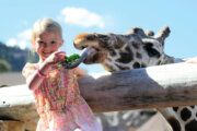 Cheyenne Mountain Zoo