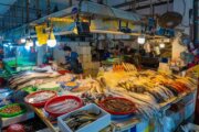 布袋漁港觀光魚市