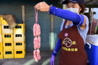 椬梧陳家大姊大腸包小腸