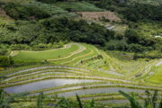 石門嵩山社區百年石砌梯田