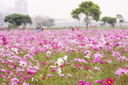 幸福水漾公園