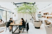 多那之-斗六棒球場旗艦店