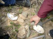 치평릉 고고학 유적지