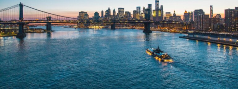 City Cruises San Diego Whale Watching &amp; Harbor Tours