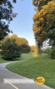 Freedom Park