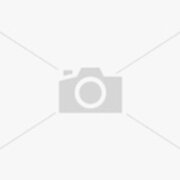 Vegetarian Delight Juice Bar