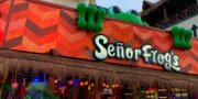 Senor Frog&#039;s