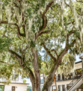The Flagler Inn